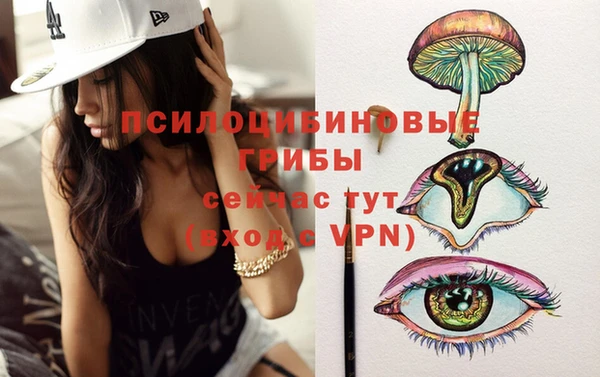 PSILOCYBIN Верхний Тагил