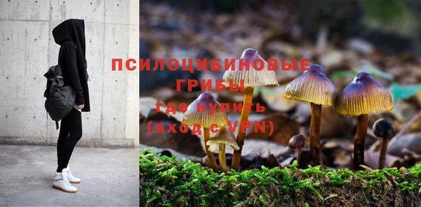 PSILOCYBIN Верхний Тагил