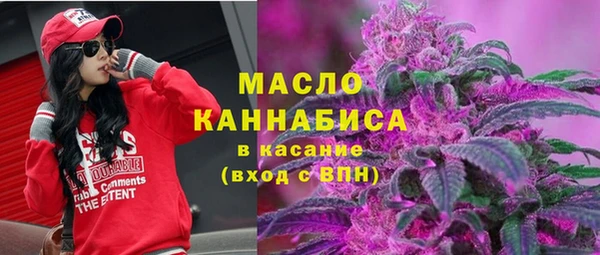 круглые Пересвет