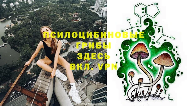 круглые Пересвет