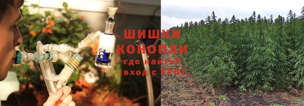 круглые Пересвет