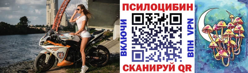 хочу   Агрыз  Псилоцибиновые грибы Psilocybine cubensis 